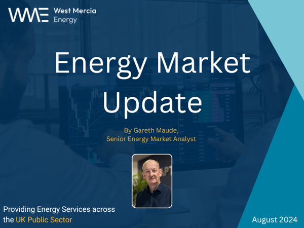 Energy Market Update: August 2024